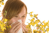 Allergy Links